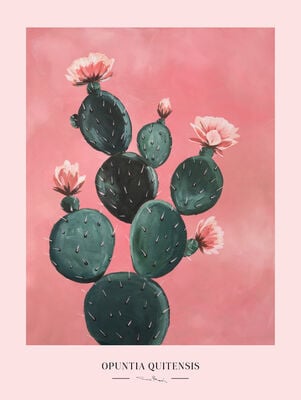 Kaverini Kaktus juliste 30x40 cm